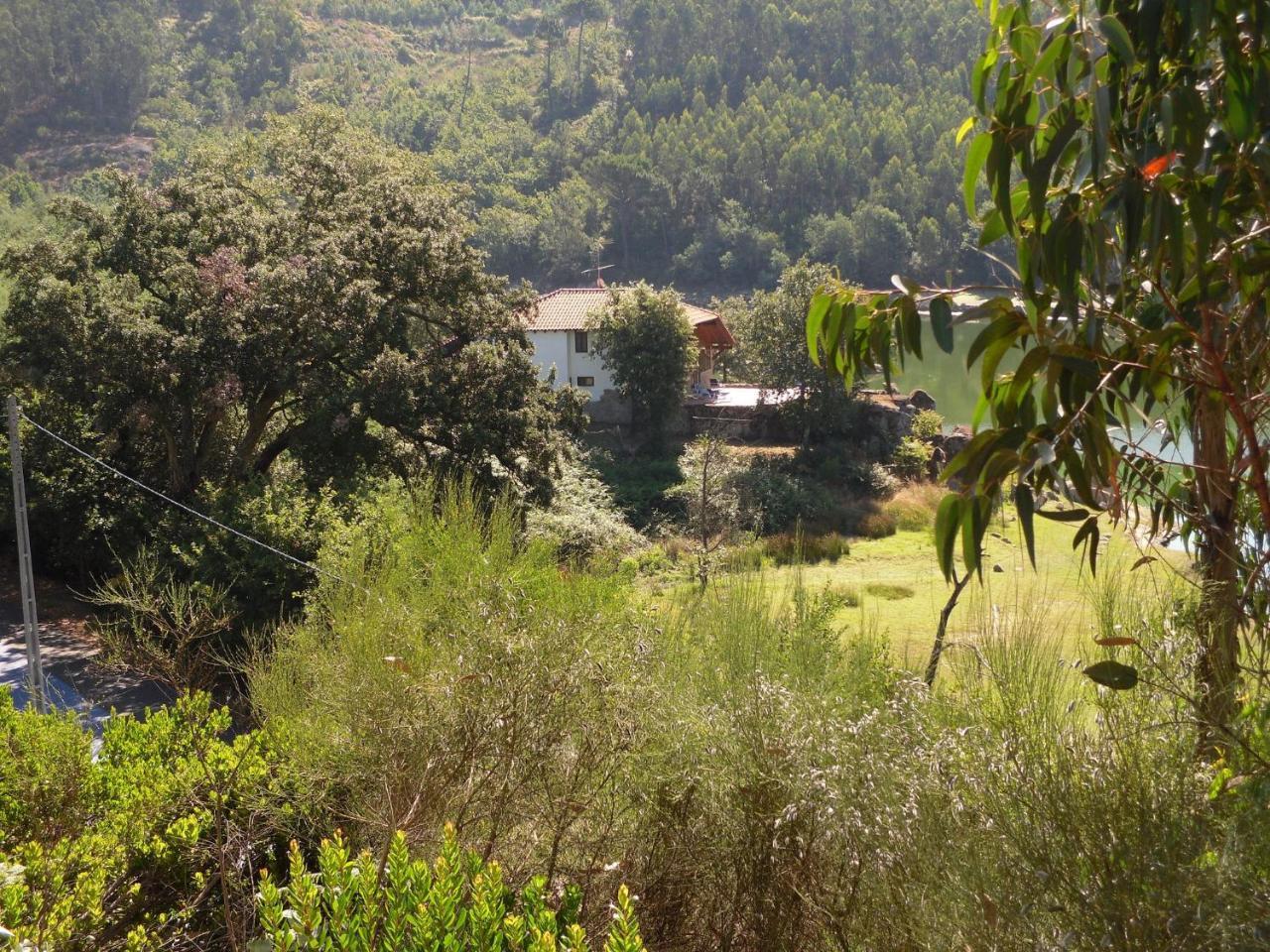 Traditional Mansion In Treixedo With Swimming Pool Экстерьер фото